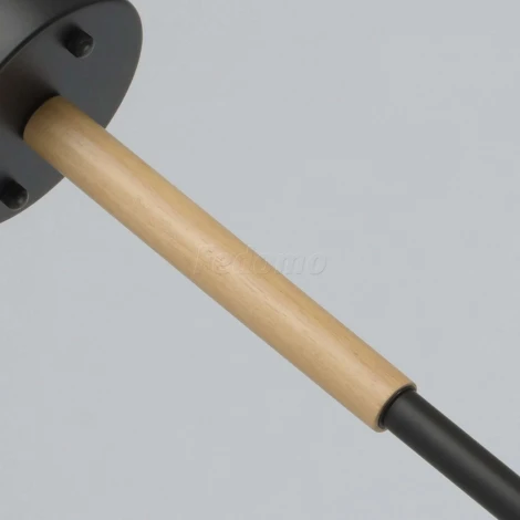 Потолочная люстра MW-Light Форест 693010803