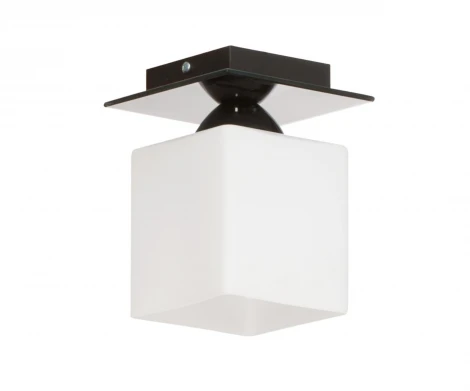 Накладной точечный светильник Lampex Floki 559/1 CZA