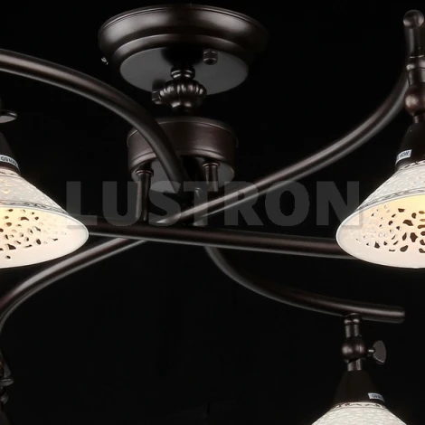Потолочная люстра Maytoni Spot 2 ECO002-06-R