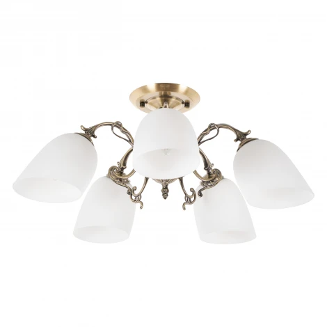 Потолочная люстра MyFar Biene MR1521-5C (220V)