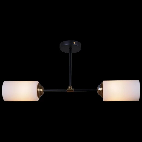 Потолочная люстра на штанге Reluce 32348-0.3-02 (220V)