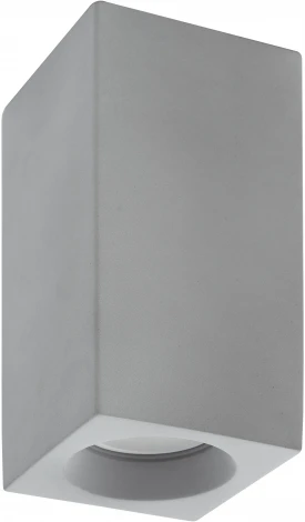 Накладной точечный светильник Denkirs DK5002-CE