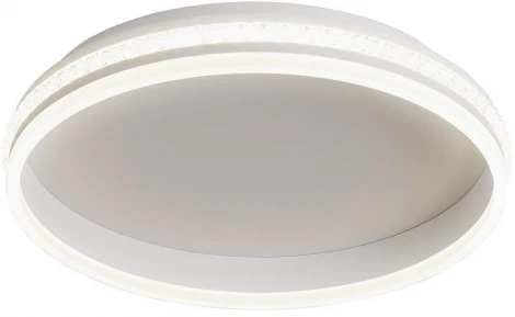 Потолочный светильник круглый Feron Shinning ring 41696