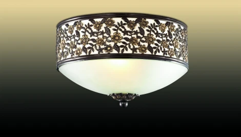 Настенный светильник Odeon Light Sagitta 2669/1W