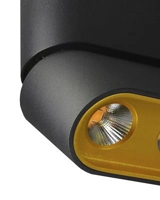 Спот Lumien Hall Фергус 8005/3CM-BK-GD