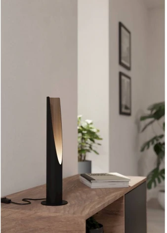 Настольная лампа Eglo Barbotto 900876 (220V, выключатель, круглые)