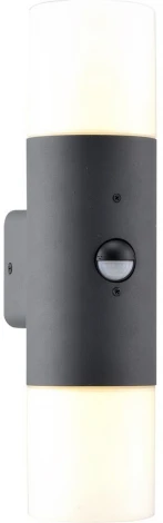 Настенный светильник уличный Escada 534/2A (220V, датчик движения, круглые)