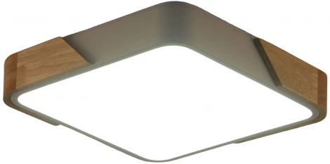 Потолочный светильник Zortes Alberro ZRS.01285.24 (LED, 220V)