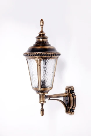 Настенный фонарь уличный Oasis Light 79751S Gb (220V, IP44)