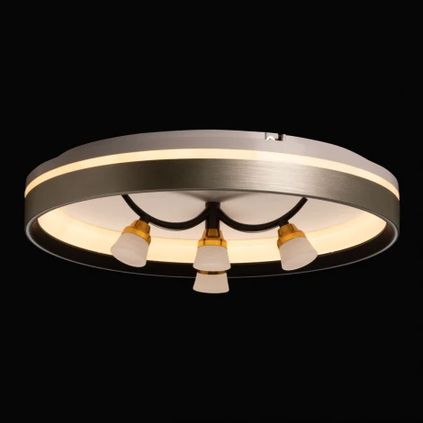 Потолочный светильник круглый De City Норден 660014901 (регулировка яркости, LED, 220V, пульт управления, круглые)