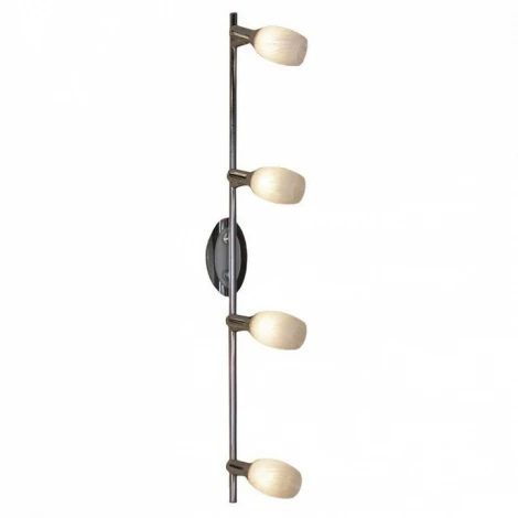 Спот Lussole Sale GRLSL-8309-04