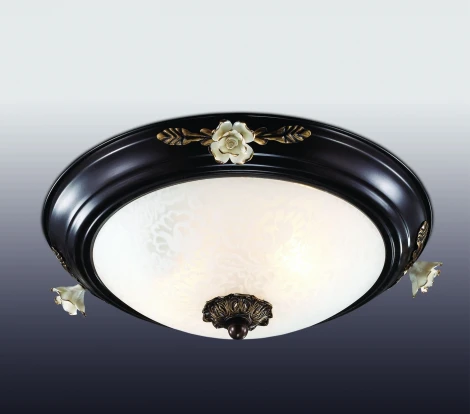 Настенно-потолочный светильник Odeon Light Bone 2693/2C