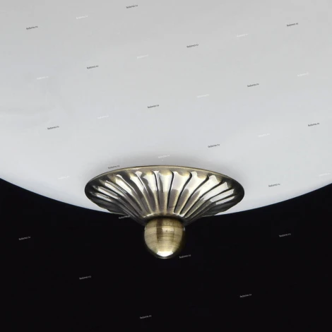 Потолочная люстра MW-Light Ариадна 450016203
