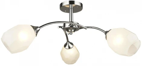 Потолочная люстра Wedo Light Totgnir 66653.01.03.03