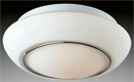 Настенно-потолочный светильник ST Luce Upoto SL497.502.01