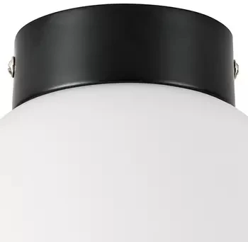 Потолочный светильник круглый Lightstar Globo 812017 (220V, шар)