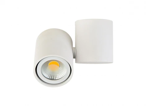 Накладной светильник Donolux Eva A1594White/RAL9003 (220V, круглые)