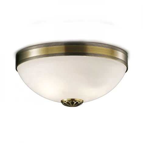 Потолочный светильник Odeon Light Ovale 1990/2C