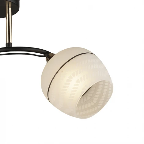 Потолочная люстра Wedo Light Modi 66638.01.69.02