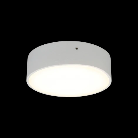 Потолочный светильник круглый Aployt Evon APL.0113.09.12 (LED, 220V, круглые)