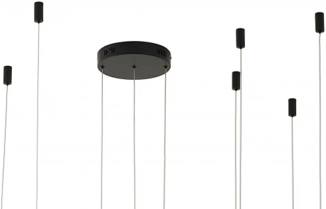 Подвесной светильник Zortes Ringolight ZRS.33321.63F (LED, 220V, на тросе)