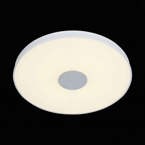 Потолочный светильник ST Luce Semplicita SL473.552.01D