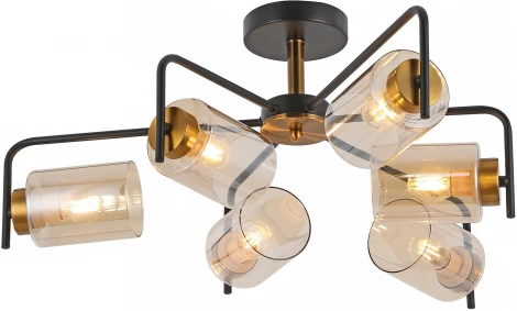 Потолочная люстра на штанге ILLUMICO IL8248-6COU-79 BK GD (220V)