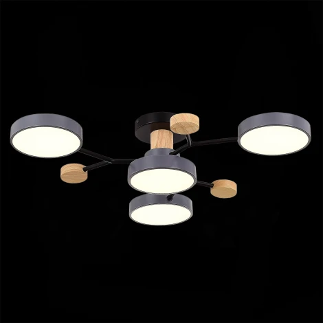 Потолочная люстра на штанге Evoluce Faema SLE6006-702-04