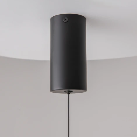 Подвесной светильник Ray 3000К 10Вт LED Maytoni Technical P022PL-L10B (220V, на проводе, круглые)