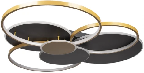 Потолочная люстра на штанге Megan 10163 Black (LED, 220V, круглые, кольцо)