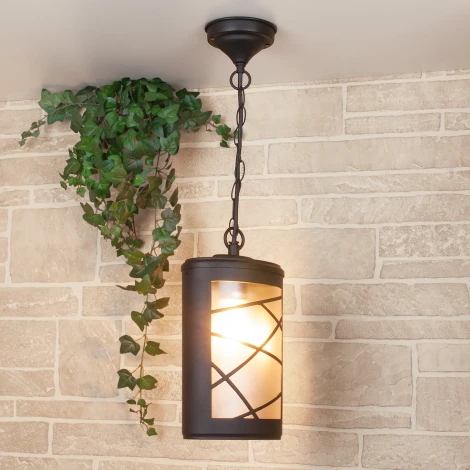 Уличный светильник подвесной Elektrostandard Premier GL 1017H (220V, на цепи, IP44)