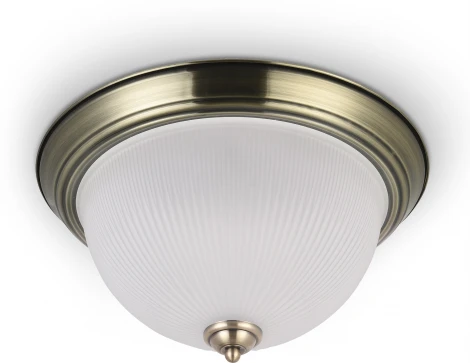 Потолочный светильник круглый Freya Planum FR2913-CL-02-BZ (220V)