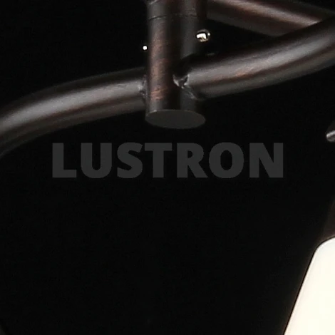 Спот Maytoni Spot 1 ECO001-04-R