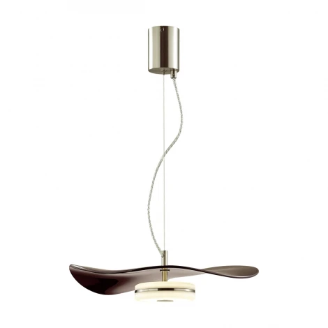 Подвесной светильник Odeon Light Fluent 4857/13L