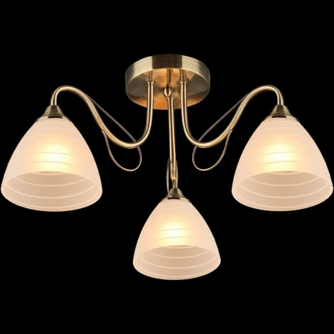 Потолочная люстра Reluce 03078-0.3-03 (220V)