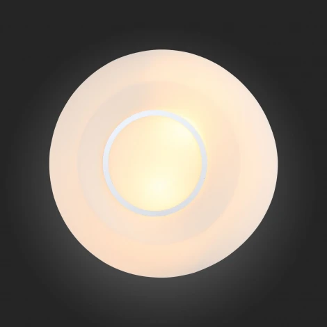 Настенно-потолочный светильник ST Luce Botone SL467.502.02