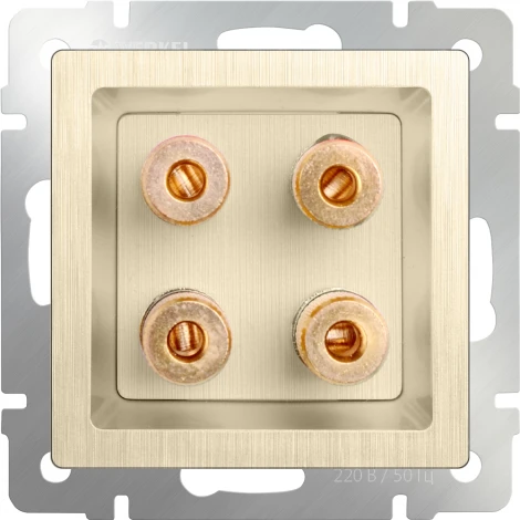 Акустическая розетка (шампань рифленый) Werkel W1185010 (a051421)