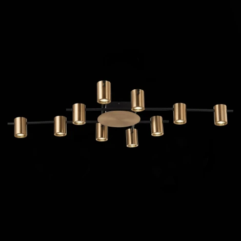 Потолочная люстра ST Luce Veroli SL1207.402.10 (220V)