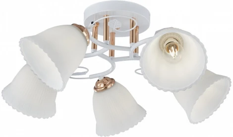 Потолочная люстра на штанге Arte Milano AMALFI-325395 325395/5A WH+FG (220V)