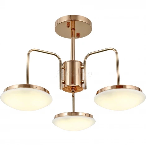 Потолочная люстра ST Luce Pratico SLE120.202.03