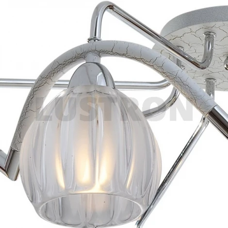 Потолочная люстра N-Light 407 407-08-13CWCBB chrome + white crack
