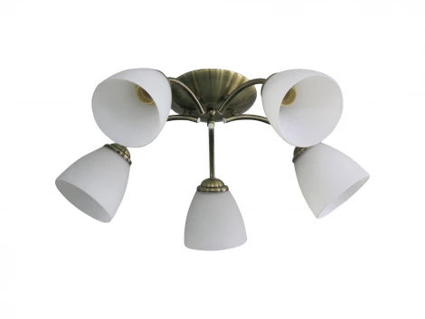 Потолочная люстра J-Light Nina 1515/5C