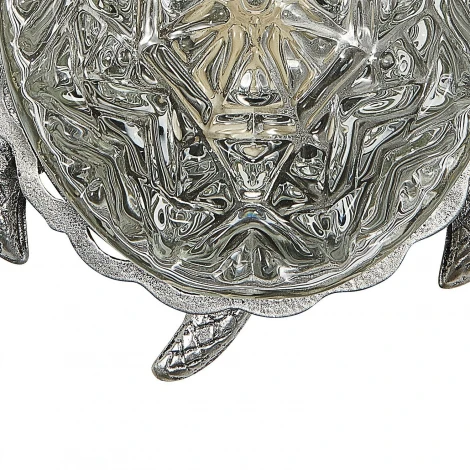 Настенный светильник Favourite Turtle 2255-1W