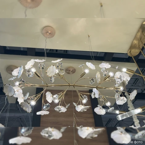 Подвесной светильник Crystal Lux MARGO SP10 (220V, на тросе, цветы)