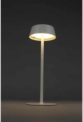 Настольная лампа светодиодная Omnilux OML-40514-01 (220V, гриб)