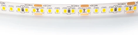 Светодиодная лента белого свечения влагозащищенная 24V Lightstar 421054