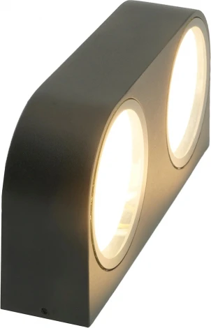 Настенный уличный светильник Feron Бостон 51328 (220V, IP54)