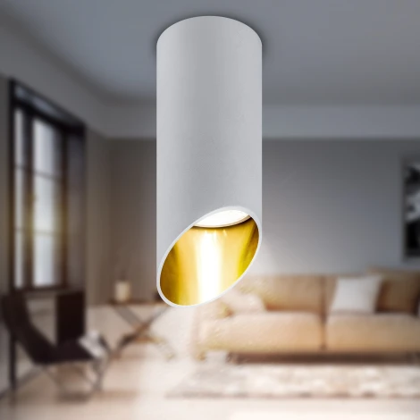 Точечный светильник ЭРА OL26 WH (220V)