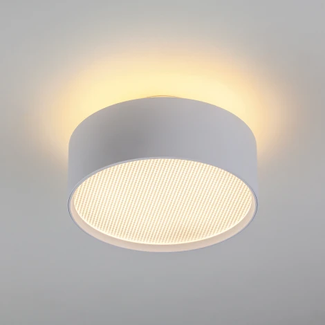 Накладной потолочный светильник Lightstar Acuto 215936 (LED, 220V, круглые)