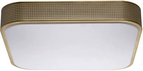 Потолочный светильник MW-Light Ривз 674015701